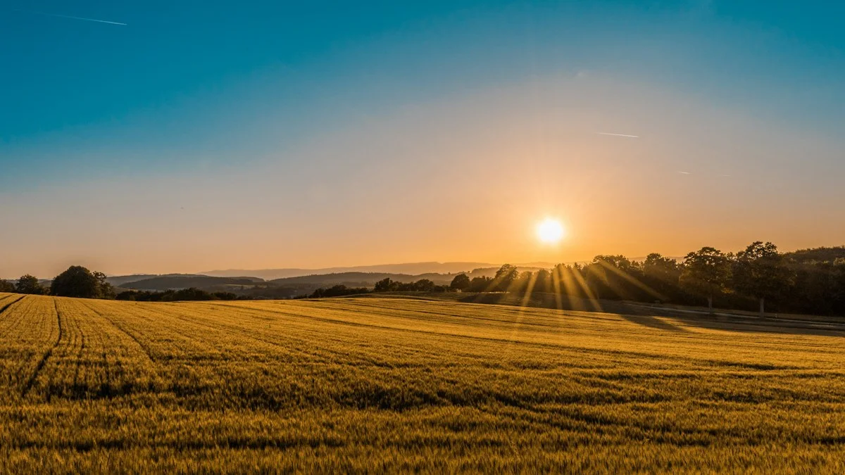 A realistic agricultural robot in a British field beneath a moody autumn sky, no people